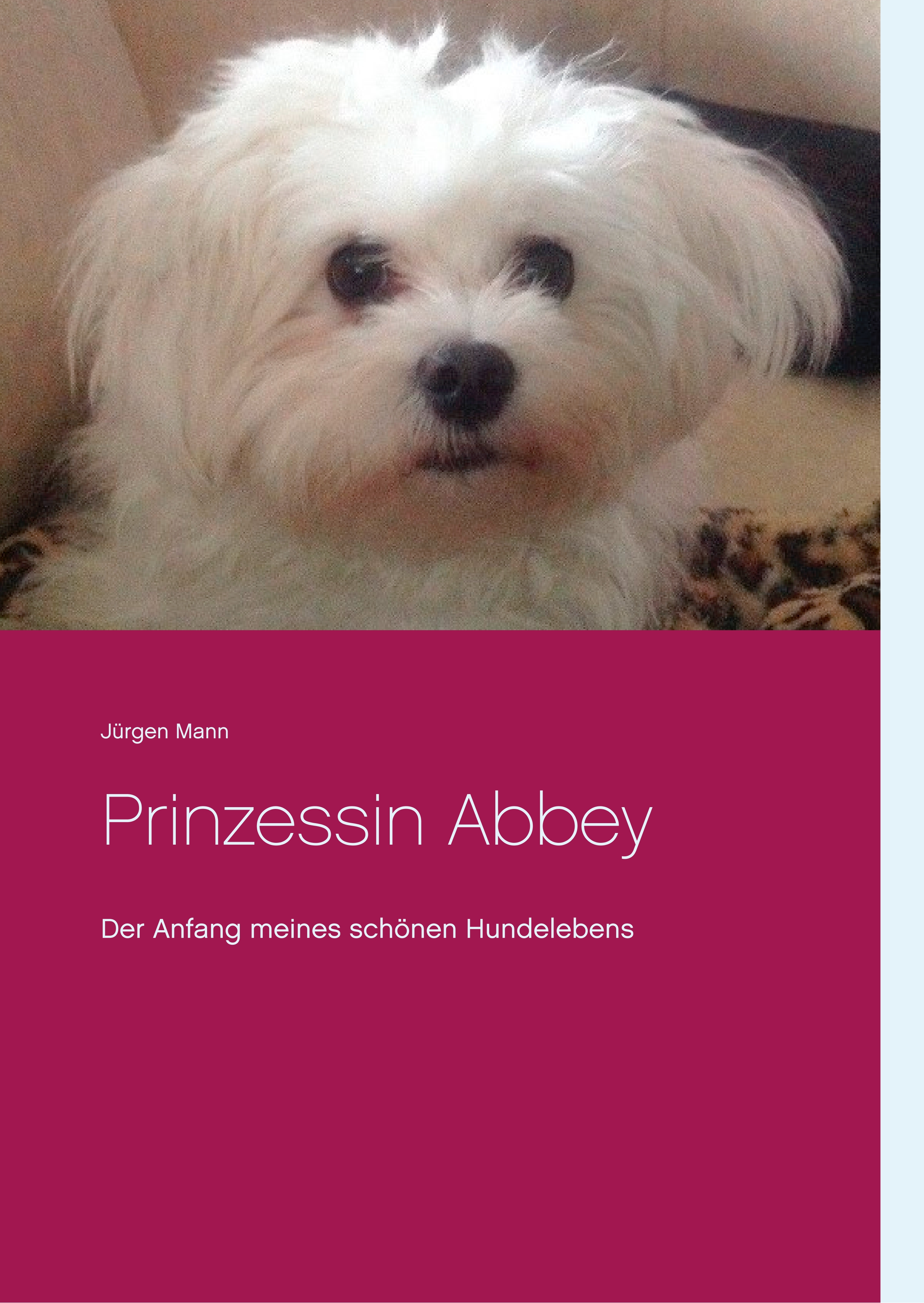 Prinzessin Abbey - Jürgen Mann - E-Book