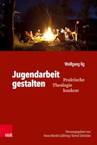 Jugendarbeit gestalten - Wolfgang Ilg - E-Book