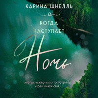 Когда наступает ночь - Карина Шнелль - Hörbuch