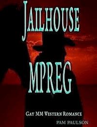 Jailhouse MPREG - Pam Paulson - E-Book