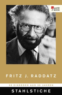 Stahlstiche - Fritz J. Raddatz - E-Book