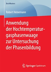 Anwendung der Hochtemperaturgasphasenwaage zur Untersuchung der Phasenbildung - Robert Heinemann - E-Book
