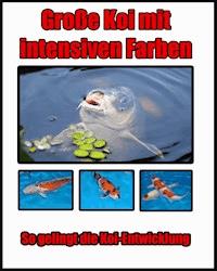 Große Koi mit intensiven Farben - Eric Wicker - E-Book