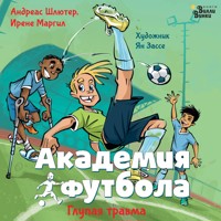 Академия футбола. Глупая травма - Андреас Шлютер - Hörbuch