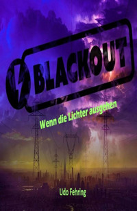 Blackout - Udo Fehring - E-Book