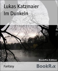 Im Dunkeln - Lukas Katzmaier - E-Book