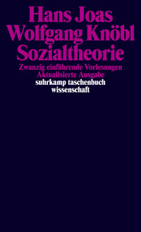 Sozialtheorie - Hans Joas - E-Book
