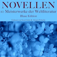 Novellen: Zehn Meisterwerke der Weltliteratur - Blaue Edition - E. T. A. Hoffmann - Hörbuch