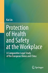 Protection of Health and Safety at the Workplace - Kai Liu - E-Book