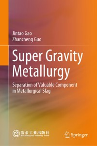 Super Gravity Metallurgy - Jintao Gao - E-Book