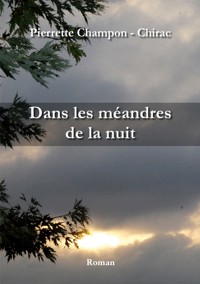 Dans les méandres de la nuit - Pierrette Champon - Chirac - E-Book