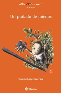 Un puñado de miedos - Concha López Narváez - E-Book