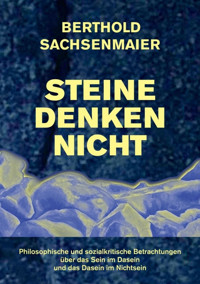 Steine denken nicht - Berthold Sachsenmaier - E-Book