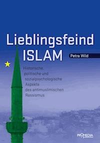 Lieblingsfeind Islam - Petra Wild - E-Book