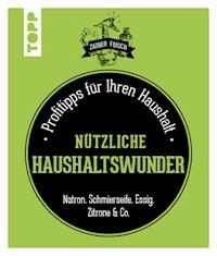 Vier nützliche Haushaltswunder - Isabelle Louet - E-Book