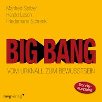 Big Bang: Vom Urknall zum Bewusstsein - Manfred Spitzer - Hörbuch