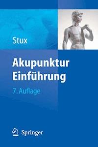 Akupunktur - Gabriel Stux - E-Book