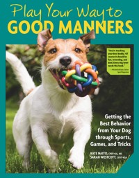 Play Your Way to Good Manners - Kate Naito - E-Book