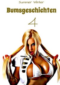 Bumsgeschichten 4 - Summer Winter - E-Book