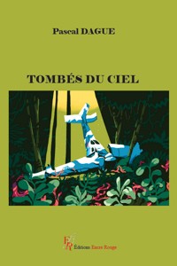 Tombés du ciel - Pascal Dague - E-Book