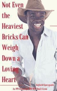 Not Even the Heaviest Bricks Can Weigh Down a Loving Heart - Gaylord Fancypants - E-Book