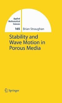 Stability and Wave Motion in Porous Media - Brian Straughan - E-Book