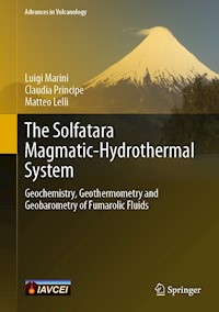 The Solfatara Magmatic-Hydrothermal System - Luigi Marini - E-Book