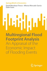Multiregional Flood Footprint Analysis - David Mendoza-Tinoco - E-Book