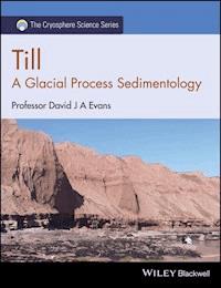 Till - David J. A. Evans - E-Book