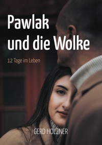 Pawlak und die Wolke - Gerd Holzner - E-Book