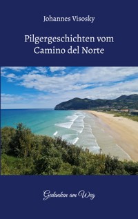 Pilgergeschichten vom Camino del Norte - Johannes Visosky - E-Book