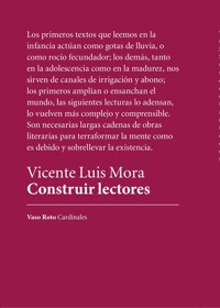 Construir lectores - Vicente Luis Mora - E-Book