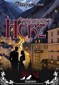 Sturmgraues Herz - Daisy Swan - E-Book