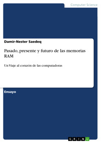 Pasado, presente y futuro de las memorias RAM - Saedeq Damir-Nester - E-Book