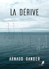 La Dérive - Arnaud Gander - E-Book