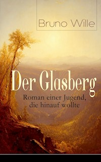 Der Glasberg: Roman einer Jugend, die hinauf wollte - Bruno Wille - E-Book