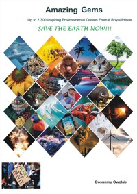 Amazing Gems - Owolabi Dosunmu - E-Book