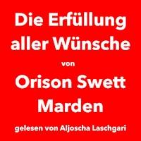 Die Erfüllung aller Wünsche -  - Hörbuch