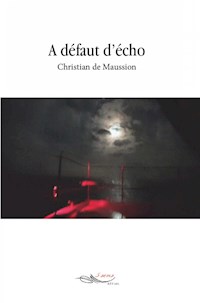 A défaut d’écho - Christian de Maussion - E-Book