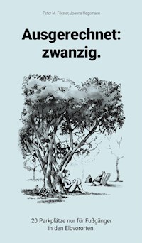 Ausgerechnet: zwanzig. - Peter M. Förster - E-Book