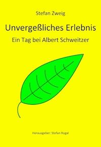 Unvergeßliches Erlebnis - Zweig Stefan - E-Book