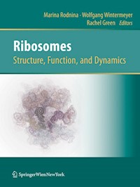 Ribosomes  Structure, Function, and Dynamics -  - E-Book