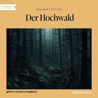 Der Hochwald (Ungekürzt) - Adalbert  Stifter - Hörbuch