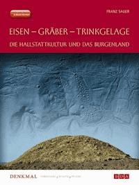 Fundberichte Materialheft A Sonderheft 24 - Franz Sauer - E-Book