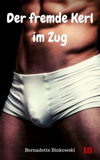 Der fremde Kerl im Zug - Bernadette Binkowski - E-Book