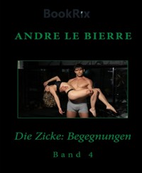 Die Zicke: Begegnungen - Andre Le Bierre - E-Book