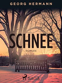Schnee - Georg Hermann - E-Book