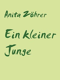 Ein kleiner Junge - Anita Zöhrer - E-Book