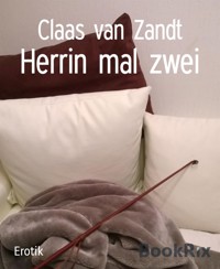 Herrin mal zwei - Claas van Zandt - E-Book