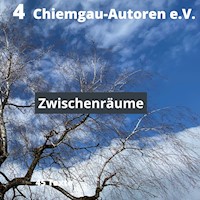Zwischenräume -  - E-Book